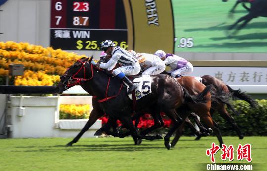 二四六香港玄机资料大全,二四六香港玄机资料大全，揭秘香港赛马与彩票的奥秘