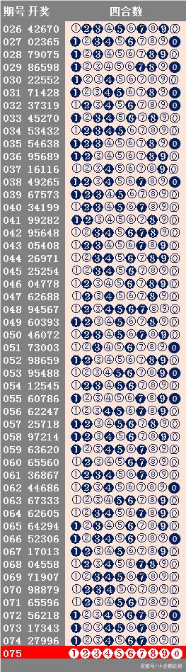 2024年12月30日 第19页