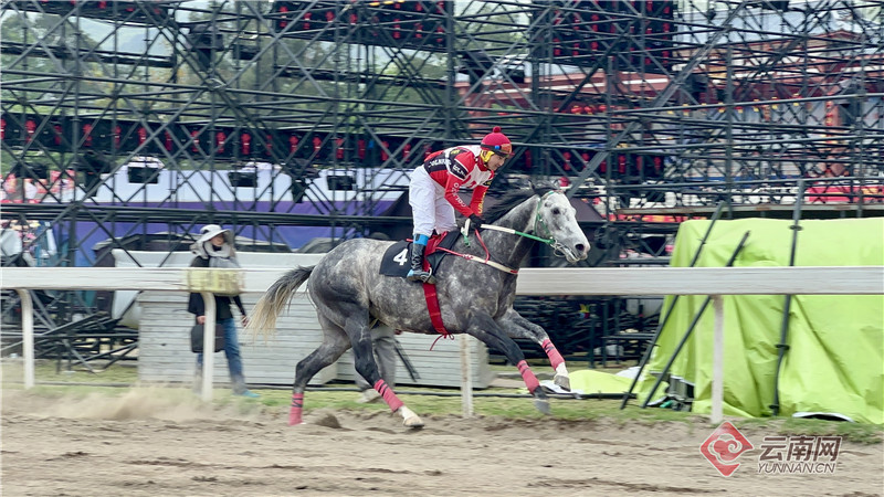 2024今晚香港开特马,今晚香港开特马，探索赛马运动的魅力与激情