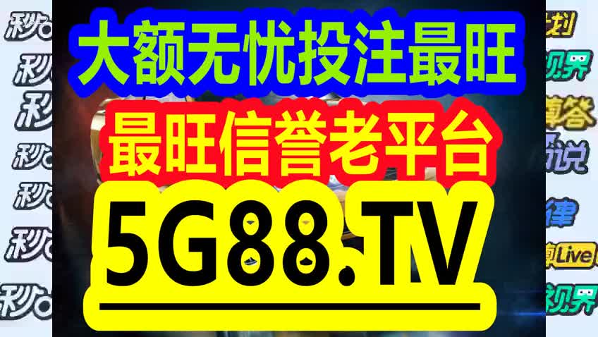 管家婆一码中一肖2024,管家婆的神秘预测，一码中定一肖，探寻2024年的奥秘