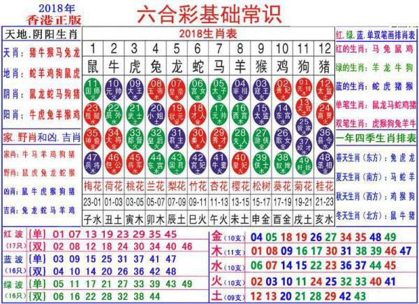 澳门正版资料大全资料生肖卡,澳门正版资料大全资料生肖卡，深度解读与实际应用