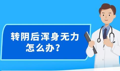 新澳精准资料大全免费更新,新澳精准资料大全免费更新，助力信息获取与效率提升的综合资源平台