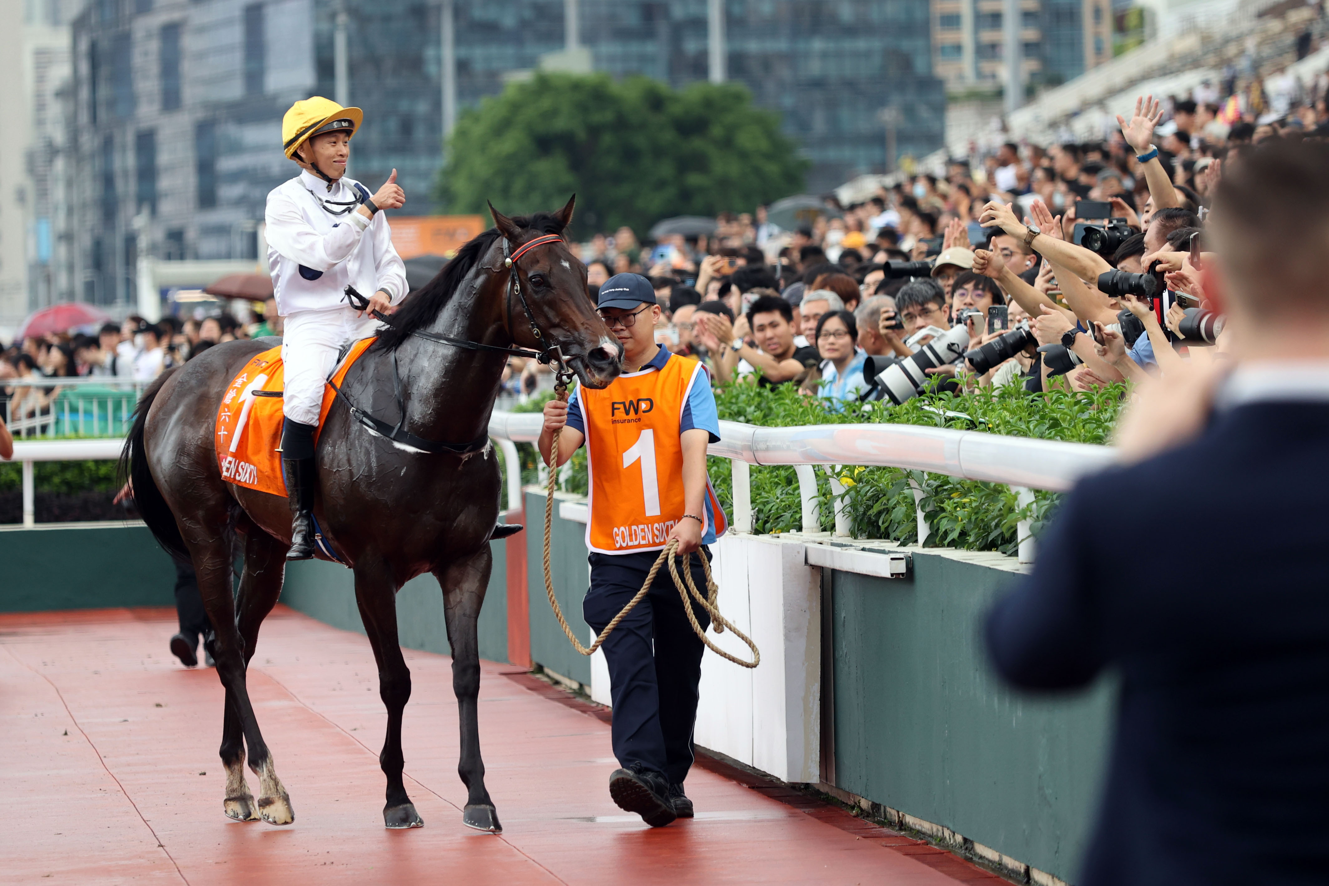 香港马买马网站www,香港马买马网站——探索赛马世界的门户