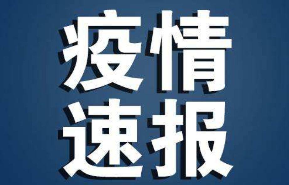 最准一尚一码100中特117期 01-04-05-43-44-49N：43,最准一尚一码，探寻彩票背后的秘密故事——第117期特码解析与策略分享