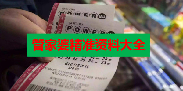 新澳门精准资料大全管家婆料097期 48-30-10-05-23-40T：17,新澳门精准资料大全解析，管家婆料第097期及特定数字组合的魅力