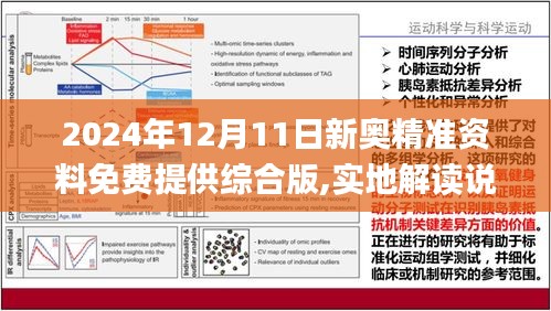 新澳精准资料免费提供网086期 06-22-28-38-40-49A：17,新澳精准资料免费提供网，探索数字世界的宝藏（第086期）